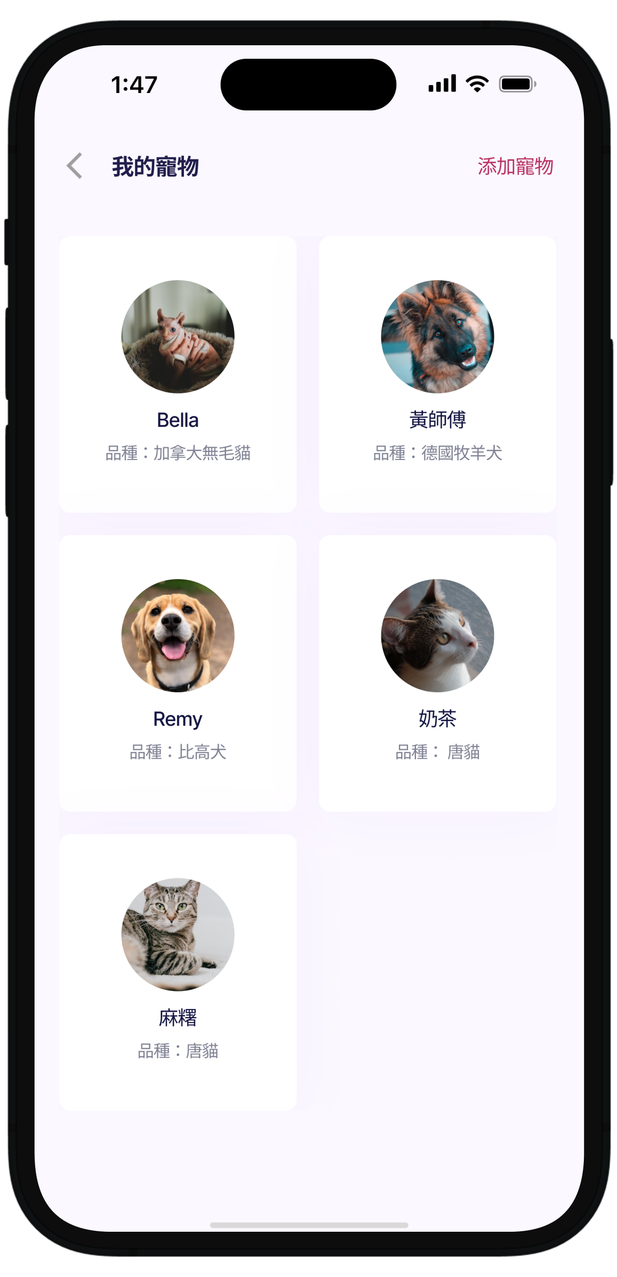 管理你所有毛孩資料